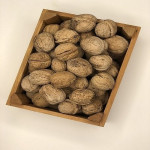 Ceviz Kabuklu 1 Kg